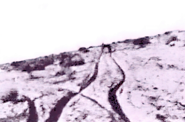 Ruts in the sand north of Helelendale